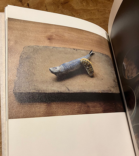 彗星倶楽部編集の本『きのふいらしつてください』（きのふいらしつてください カタログ作成委員会、2022年発行）に掲載された、中川さんの作品の写真（ニック・ヴァンデルギーセンさん撮影）