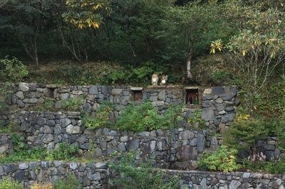 京都大原