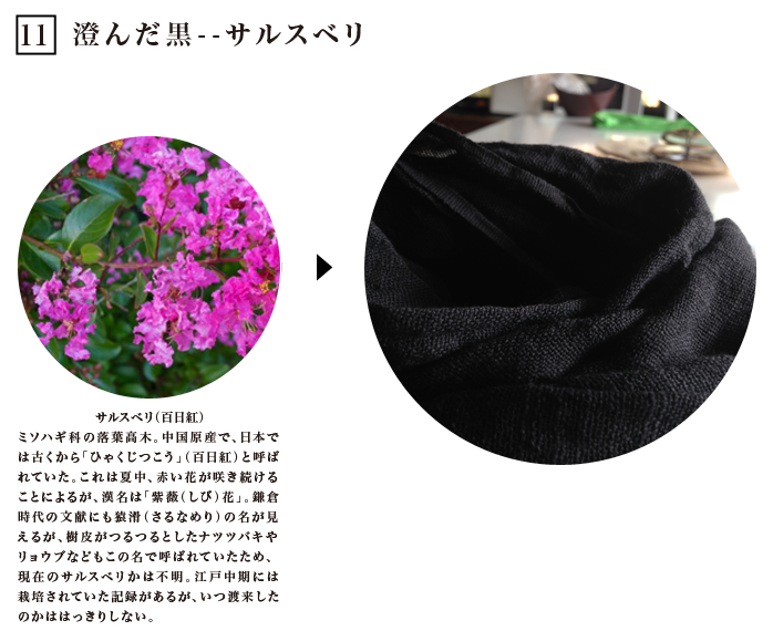 11 澄んだ黒 サルスベリ 植物色図鑑 草木に潜む色の素