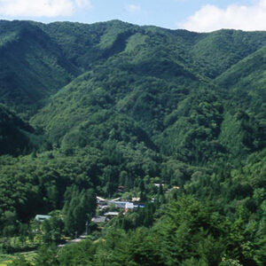 オークヴィレッジ高山