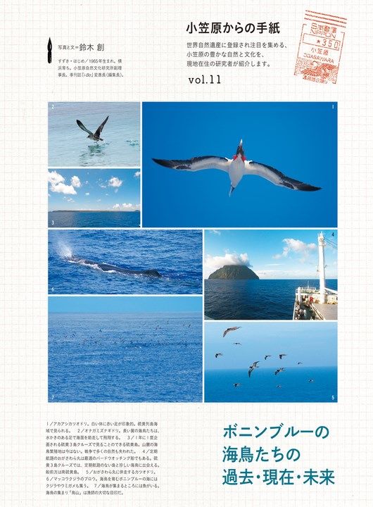 ボニンブルーの海鳥たちの過去・現在・未来