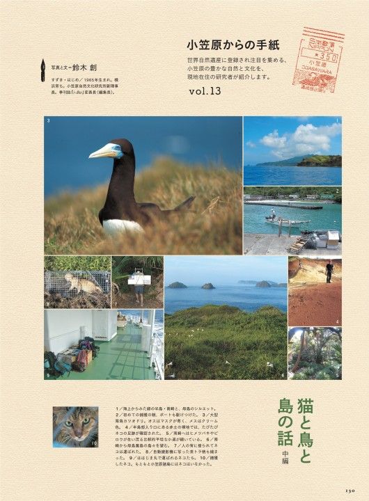 猫と鳥と島の話 中編