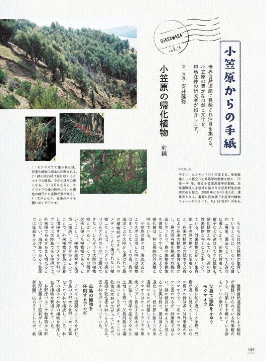 小笠原の帰化植物 前編