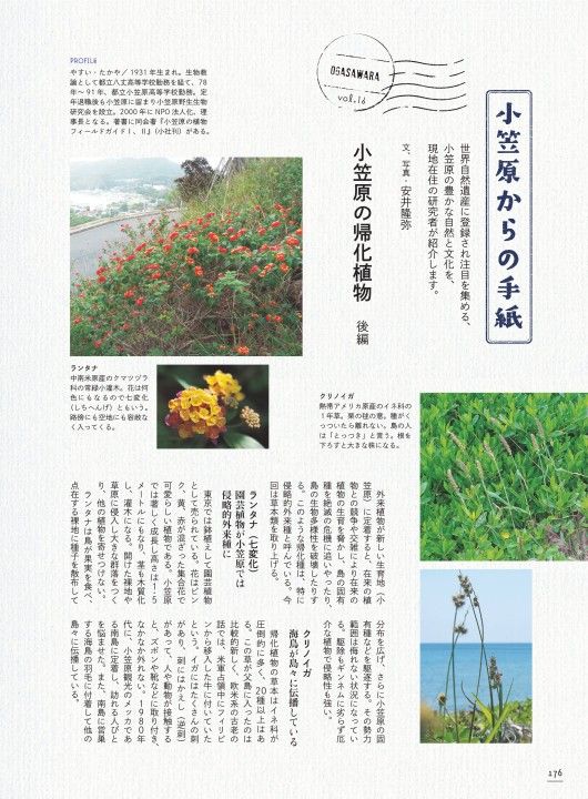 小笠原の帰化植物 後編