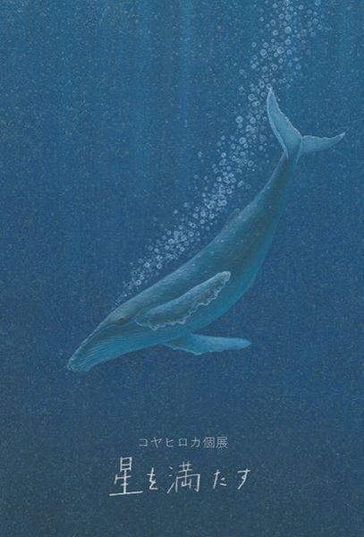 gallery cadocco コヤヒロカ個展「星を満たす」