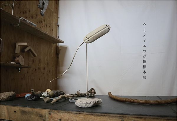 umi neue ウミノイエの浮遊標本展