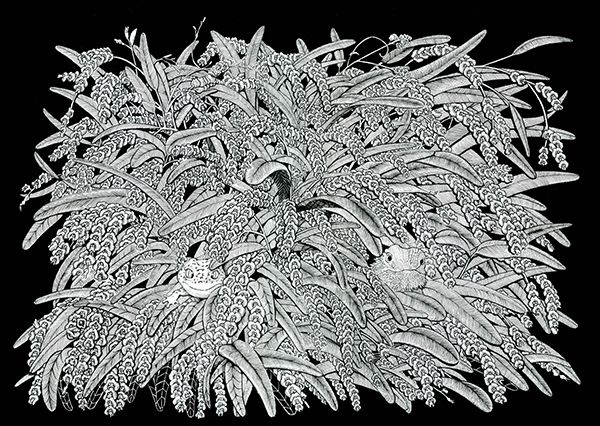 ギャラリーリブ・アート ホシのペン画展