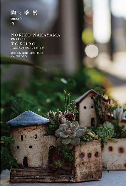 中山典子 陶と季展 2023年 春 小さな家シリーズ、多肉植物、普段使いの器