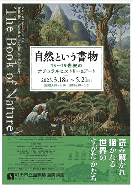 町田市立国際版画美術館 自然という書物 15~19世紀のナチュラルヒストリー&アート