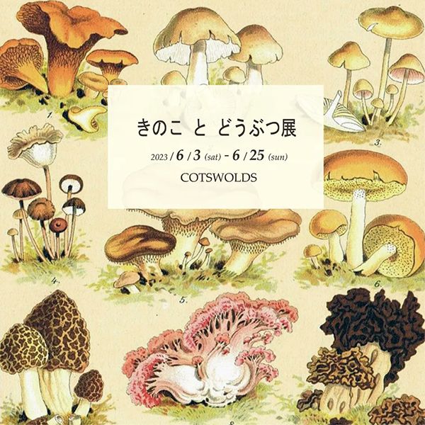 COTSWOLDS きのことどうぶつ展 2023