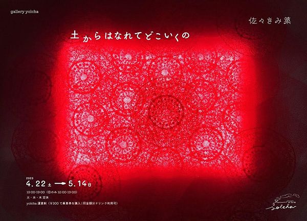 gallery yolcha 佐々きみ菜 個展「土からはなれてどこいくの」