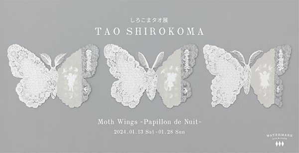 WATERMARK arts & craft しろこまタオ展 SHIROKOMA TAO「Moth Wings -Papillon de Nuit-」s