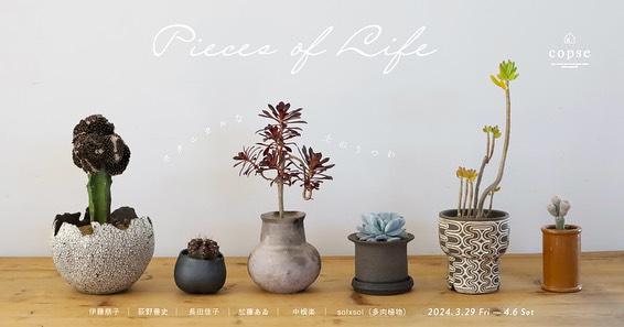 加藤あゐ　Pieces of Life 〜日々を彩る ‐ 後編 - 土のうつわ