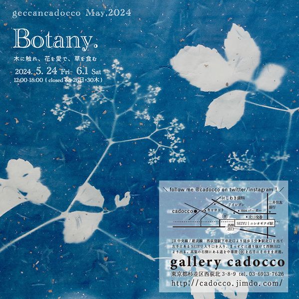 gallery cadocco　Botany. 2024
