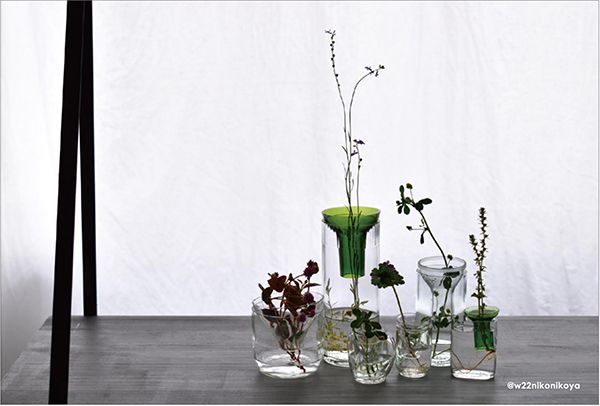 w22　キタムラマサコ葉壜展「花と葉、茎と根と。」