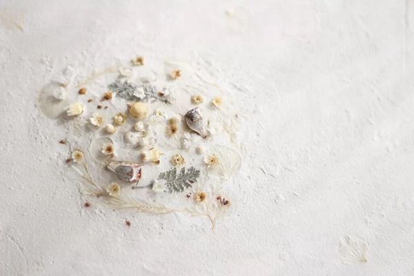 ちせ poppyseeds exhibition - すって はいて -