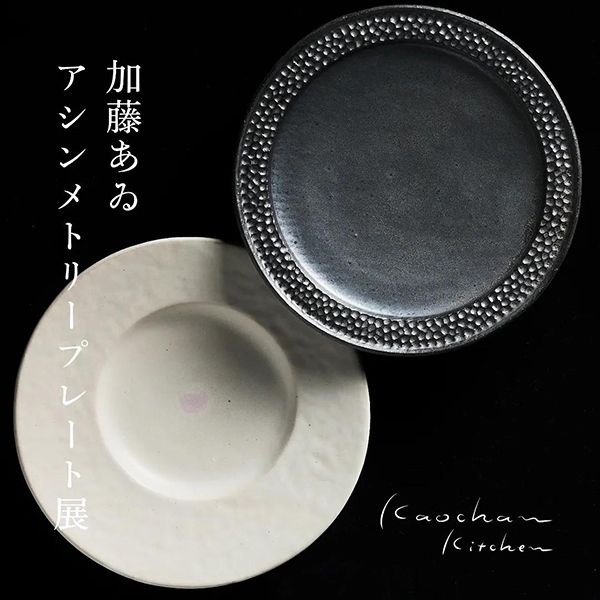 加藤あゐ 加藤あゐアシンメトリープレート展