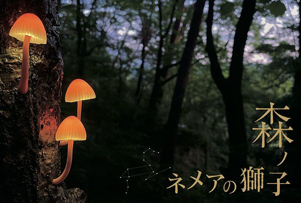 メリーゴーランド京都 高野幸雄個展「ネメアの 獅子ノ森」