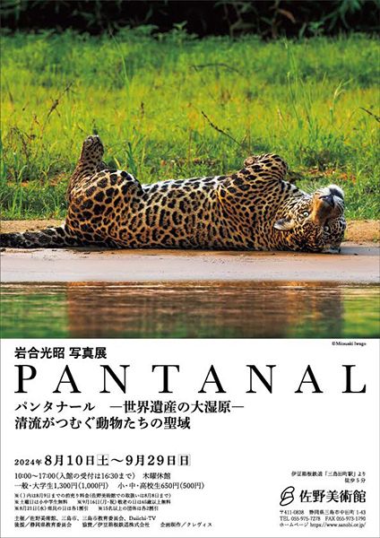 佐野美術館 岩合光昭写真展 PANTANAL パンタナール - 世界遺産の大湿原 - 清流がつむぐ動物たちの聖域