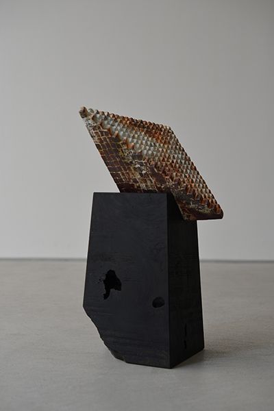滔々　藤崎均･藤村亮太 二人展