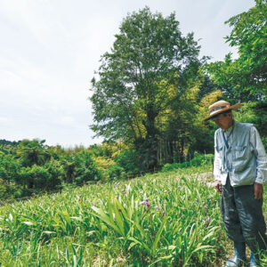 先人の知恵を守り継ぐ－森野旧薬園と大宇陀を訪ねて