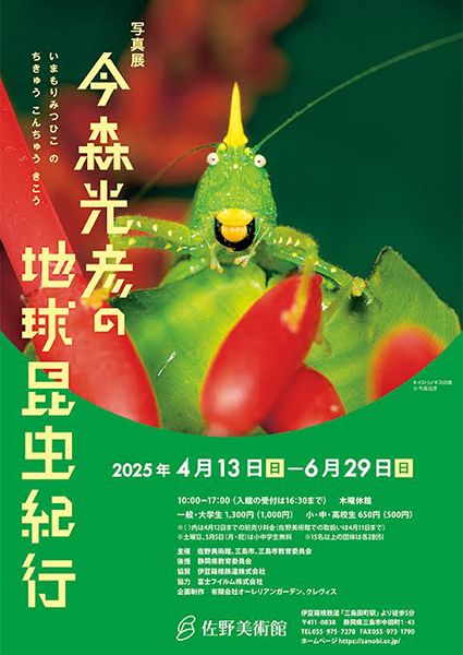 佐野美術館　写真展　今森光彦の地球昆虫紀行