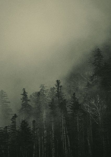 雨晴AMAHARE　“In Search of Solitude” A Solo Exhibition by Shouya Grigg at KYO AMAHARE