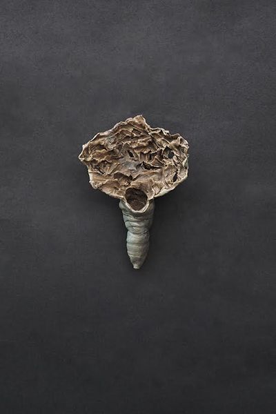 奥村博美 展「襤褸ノウツワ」