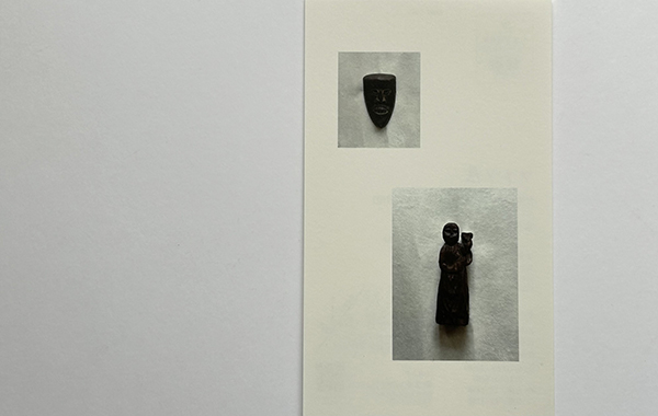 望雲　ソテツ展