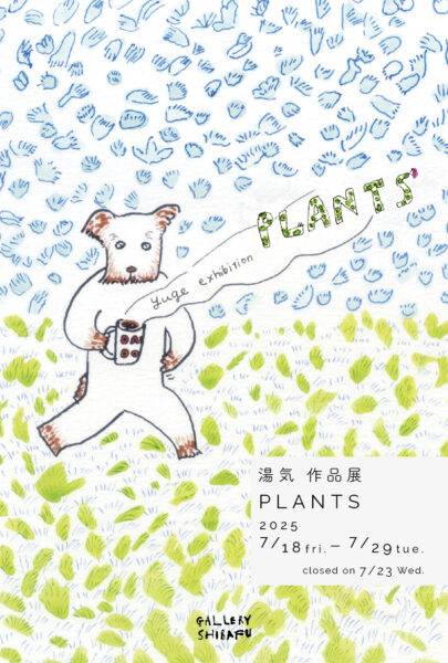 GALLERY SHIBAFU 湯気作品展 PLANTS