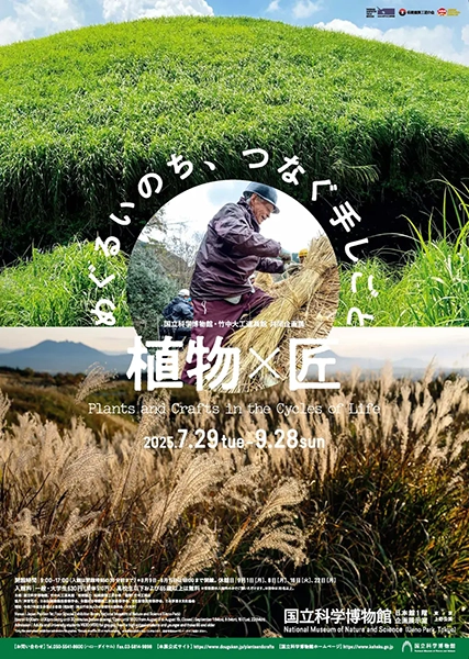 国立科学博物館・竹中大工道具間共同企画展「植物✕匠　めぐるいのち、つなぐ手しごと」