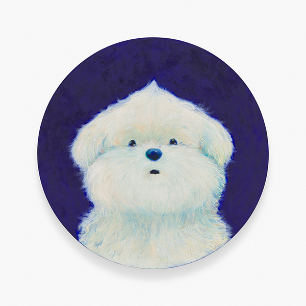 カイカイキキギャラリー　YEYE個展「テレパシー」