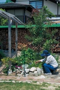 レモンの木の根元の植栽を手入れする恭子さん。大好きな庭の手入れに夢中で気づけば数時間庭にいることも。