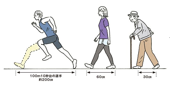 シニアは年を経るとともに歩幅が小さくなり、その分、スピードも遅くなる。