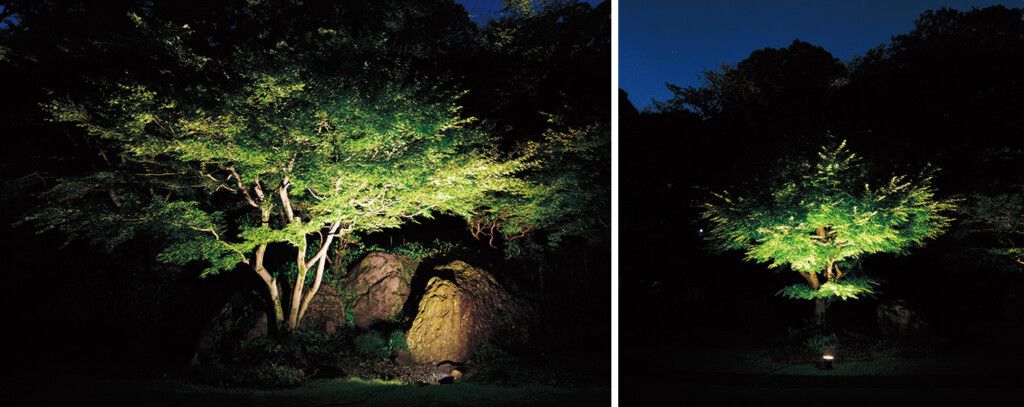 照射位置による見え方の比較。右／正面からの照射では、表情が乏しく美しさに欠ける。左／少し横から照射すると、樹木の魅力的なフォルムが浮かび上がる。
