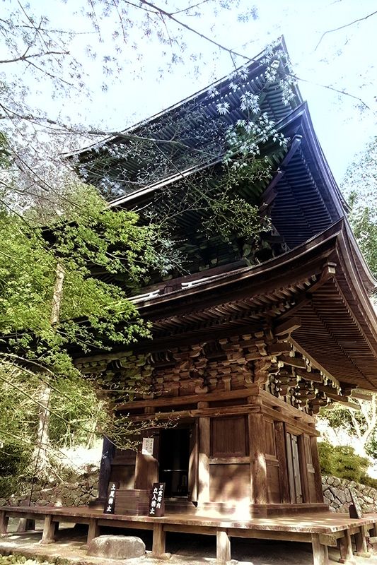 滋賀県・金剛輪寺の三重塔