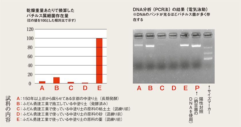 土壁の物理的効果と生物的効果