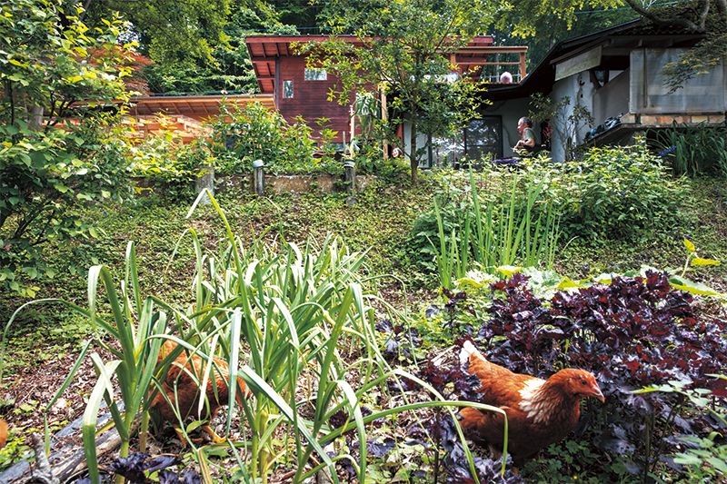 テラス下には家庭菜園が