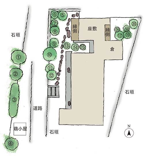 福井邸の庭