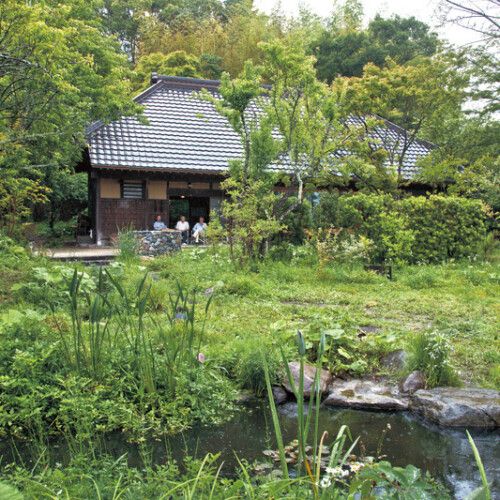 千葉県茂原市　注文住宅　建築家　大野正博　多彩な生物が共棲する神秘の庭