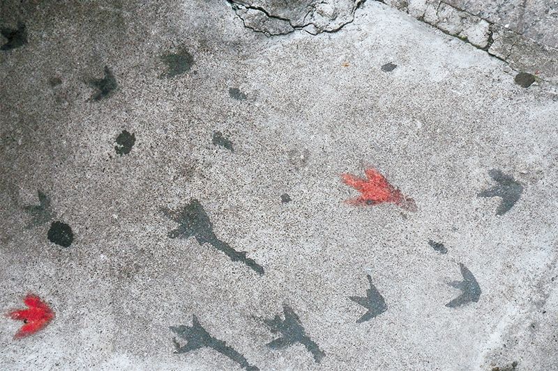 モルタルの土間に一二三石ならぬ鳥の足跡。(名古屋)