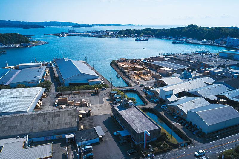 田辺湾を望む山長商店の全景。左右を製材工場に囲まれ中央に見える建物が山長商店の本社。