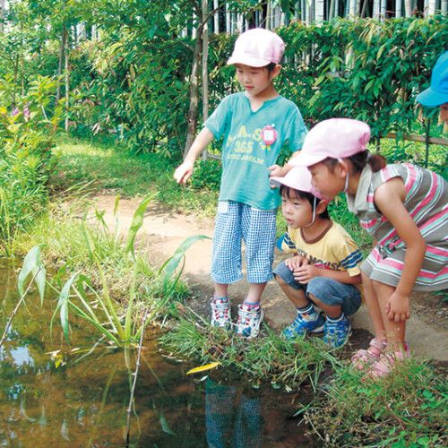 仙田さん設計、千葉県「さつき幼稚園」のビオトープ。（