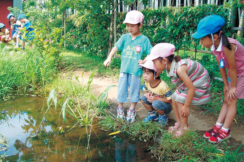 仙田さん設計、千葉県「さつき幼稚園」のビオトープ。(