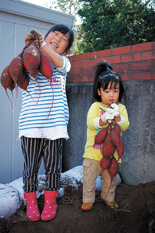 庭の畑
で立派なサツマイモを収穫してニッコリの姉妹。
