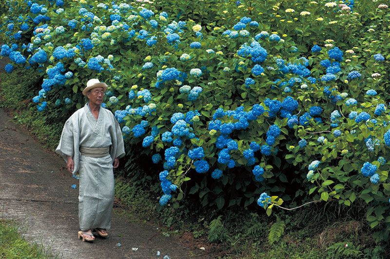 大阪・千早赤阪村“山燈花”にて