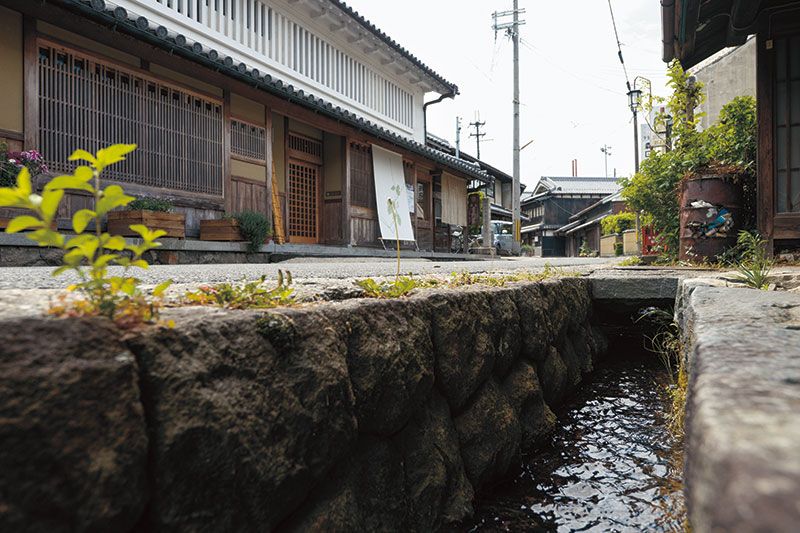 前川と呼ばれる松山町の水路。今も水やりなどに使う。