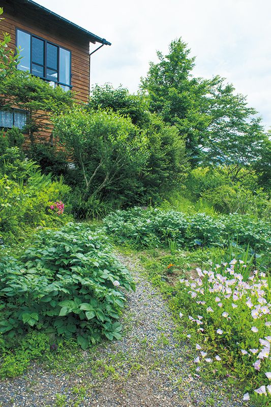 花と野菜が同居すると建物の彩りにもなる。