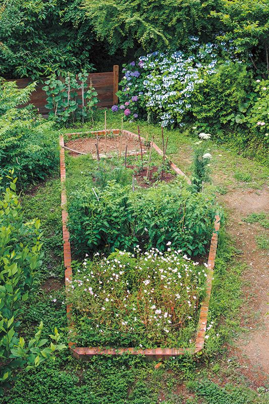 古材を利用して縁取ったポタジェ(菜園)にて。