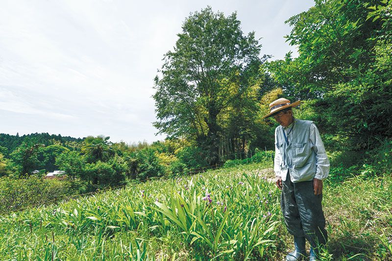 薬草を愛する先人たちによって守ら れてきた森野旧薬園